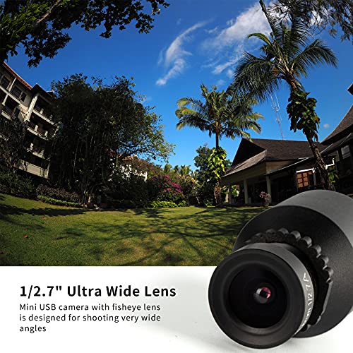 STINYTECH 19 mm Durchmesser HD 1080P Super Mini USB-Kamera UVC 2.0MP Webcam Windows-PC verwendet für Bankautomaten Heimsicherheit 3,6 mm Objektiv USB 2.0 Ladegerät Webkameras 